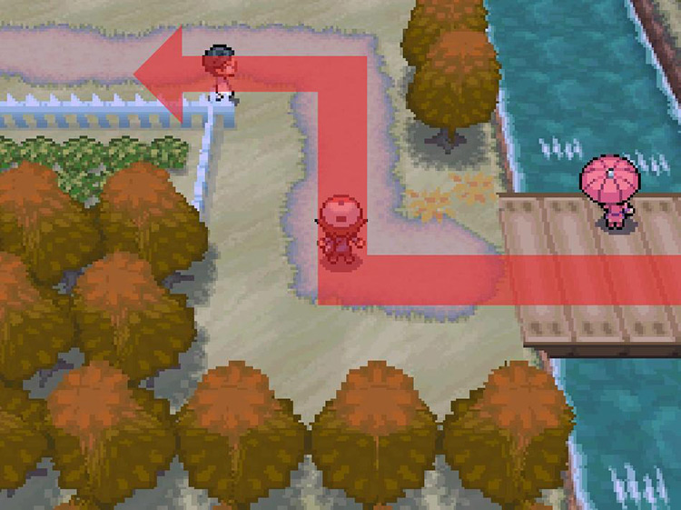 Continue west on the path. / Pokemon BW