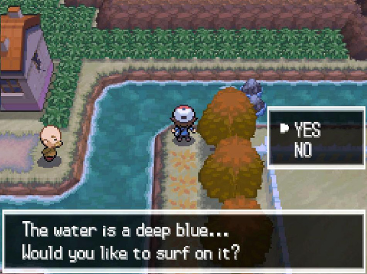 Use HM03 Surf at the end of the path. / Pokemon BW