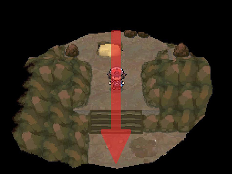 Continue south through the cave over the boulder. / Pokemon BW