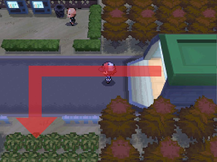 Head south through the gap in the fence. / Pokemon BW
