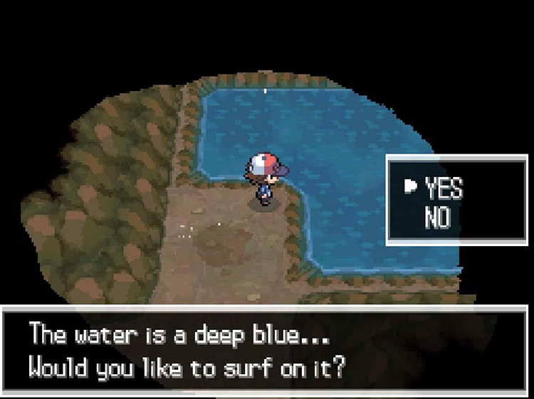 Use Surf on the body of water ahead. / Pokemon BW