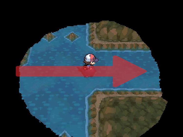 Continue east past the small rocks. / Pokemon BW