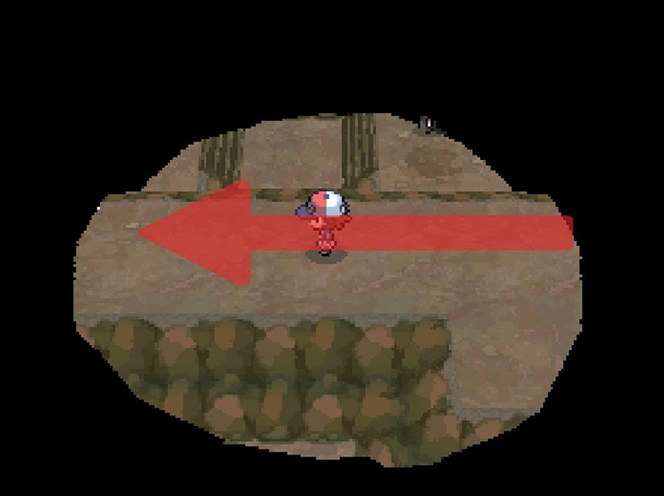 Continue west through the cave. / Pokemon BW