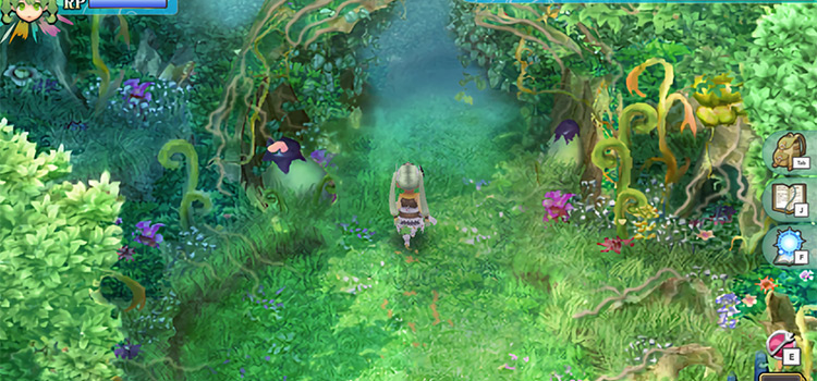 Yokmir Forest Entrance in Rune Factory 4 Special