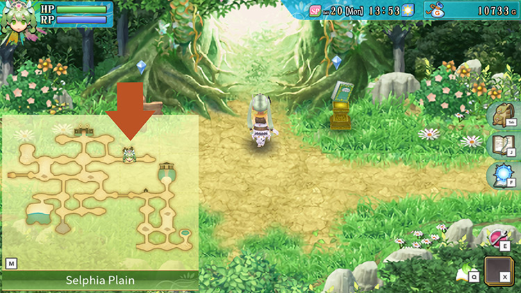 The entrance of Yokmir Forest marked on the map of Selphia Plain / Rune Factory 4