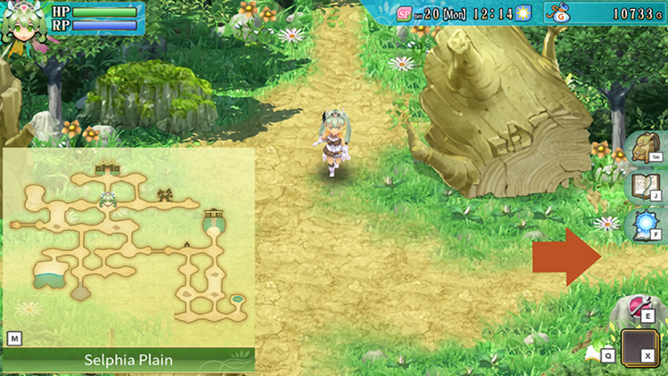 An area of Selphia Plain south of Selphia Castle Gate with the mobs cleared / Rune Factory 4