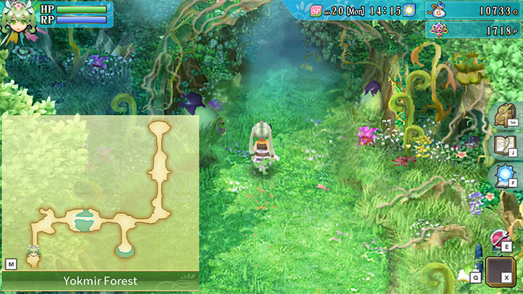 The entrance of Yokmir Forest with the map up / Rune Factory 4