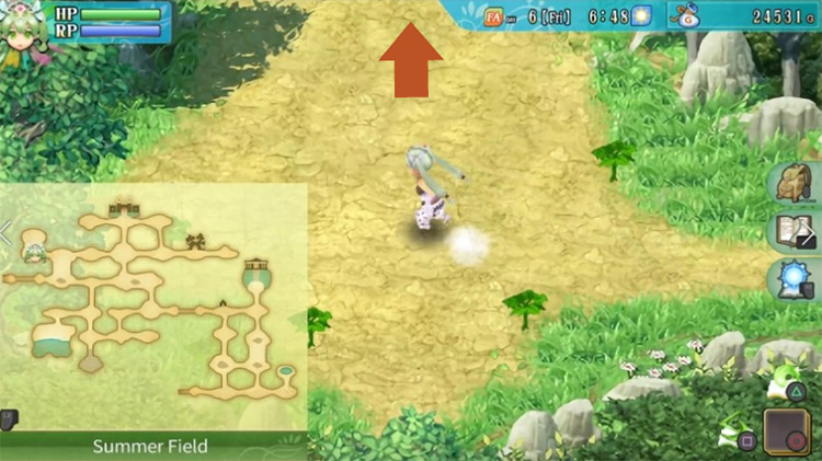 The lower section of Summer Field / Rune Factory 4