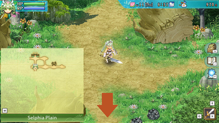 An area of Selphia Plain previously blocked by giant logs / Rune Factory 4