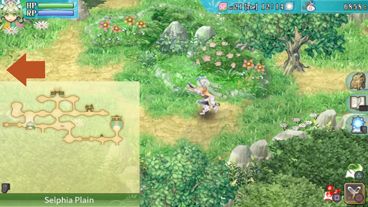 A large area in Selphia Plain with a boulder blocking the upper section / Rune Factory 4