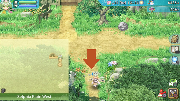 An area of Selphia Plain West with a house / Rune Factory 4