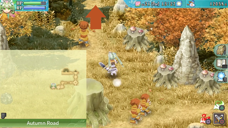 An area along Autumn Road with a large stump in the center / Rune Factory 4
