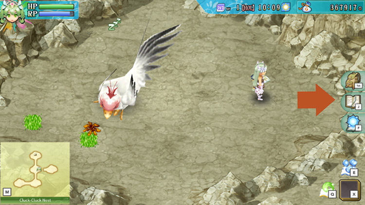 Area Cluck-Cluck Nest leading to the secret room / Rune Factory 4