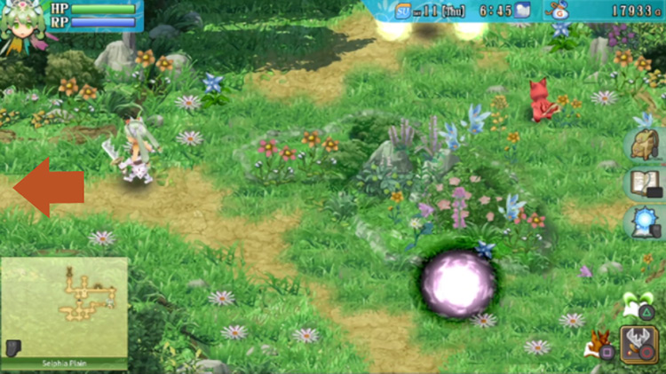 A wide area in Selphia Plain with blooming flowers around / Rune Factory 4