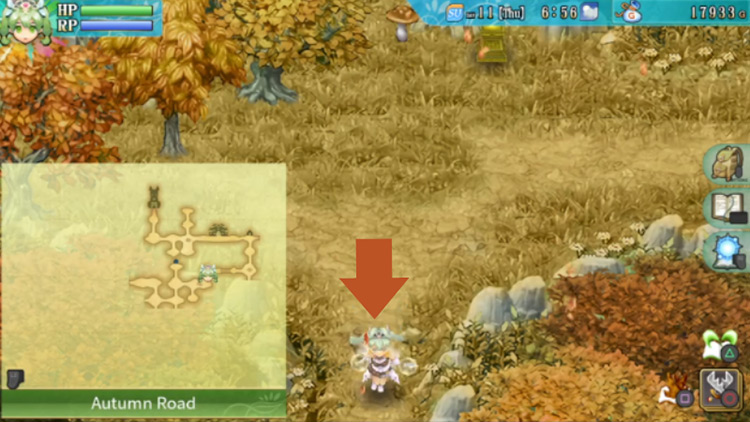 An area of Autumn Road with a journal in the upper area / Rune Factory 4