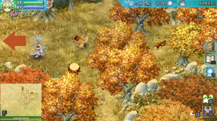 A small patch of forest in Autumn Road / Rune Factory 4