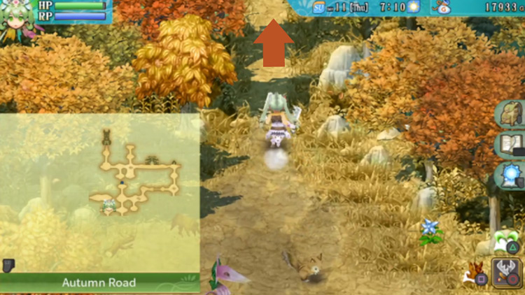 Going north from an intersection in Autumn Road / Rune Factory 4