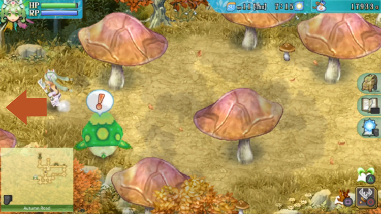 A long path along Autumn Road with giant mushrooms growing around / Rune Factory 4