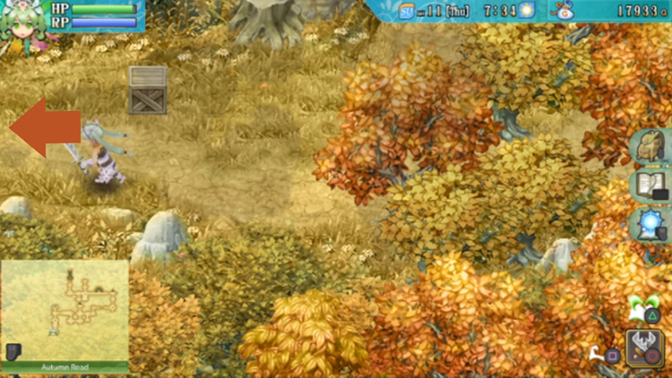 A small path along Autumn Road by a patch of forest / Rune Factory 4