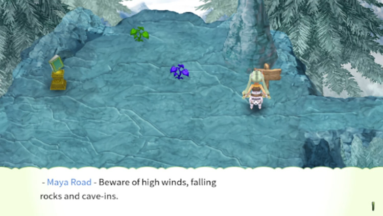 The entrance to Maya Road / Rune Factory 4