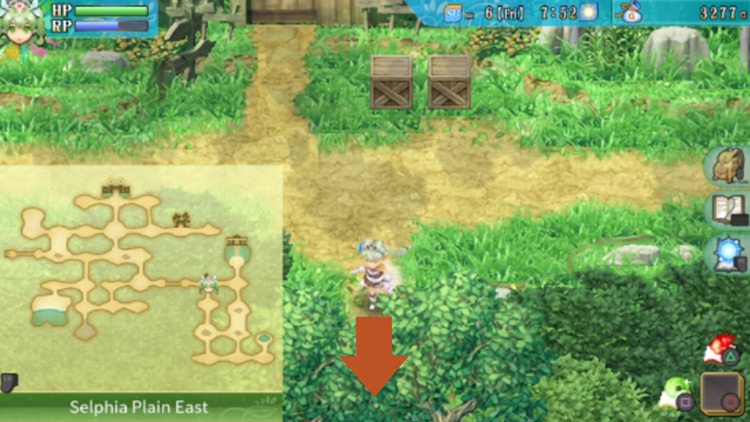 An area in Selphia Plain East where the fortune teller’s house is located / Rune Factory 4