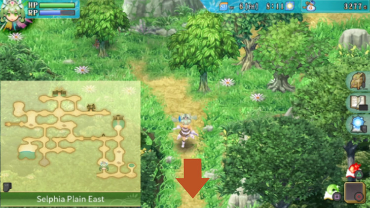A path in Selphia Plain East with a huge boulder in the middle / Rune Factory 4