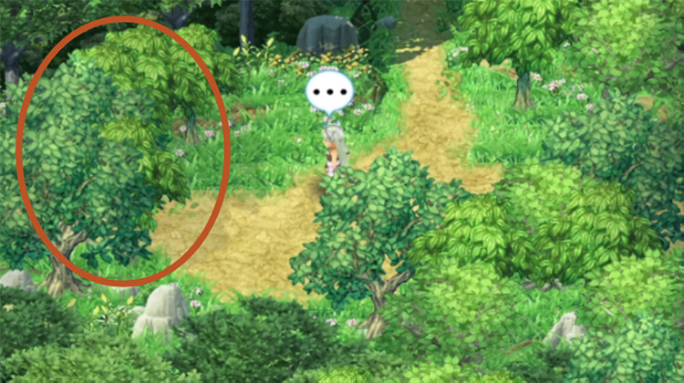 Trees obstructing a path heading west in Selphia Plain East / Rune Factory 4