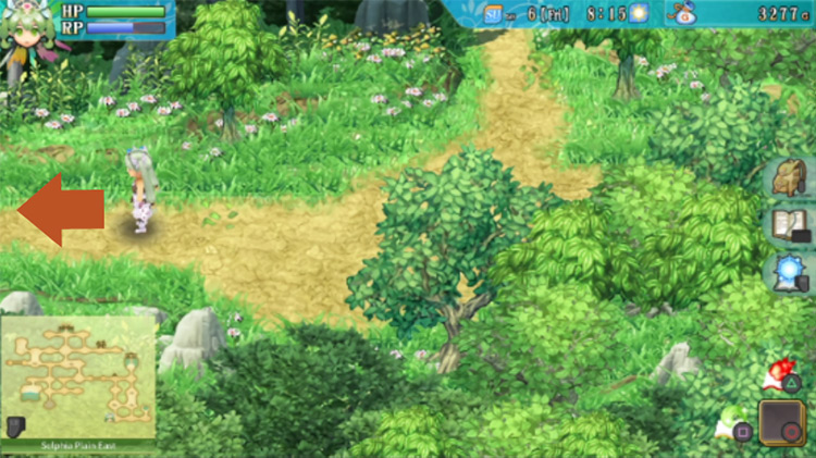 A previously obstructed path in Selphia Plain East / Rune Factory 4