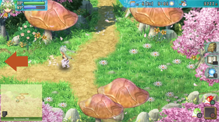 A small area with giant mushrooms in Sercerezo Hill / Rune Factory 4