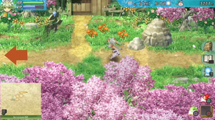 A house with tourists residing inside along a path found in Sercerezo Hill / Rune Factory 4