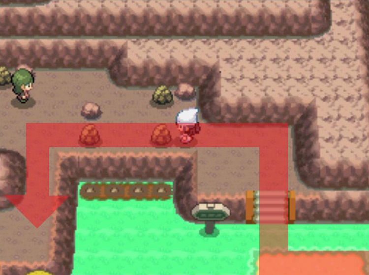 Heading west along the northern path to avoid tall grass / Pokémon Platinum