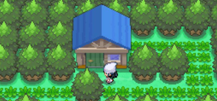 At the house on Route 221 with the Expert Belt NPC (Pokémon Platinum)
