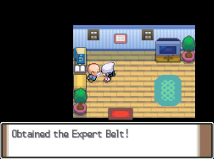 Being awarded an Expert Belt / Pokémon Platinum