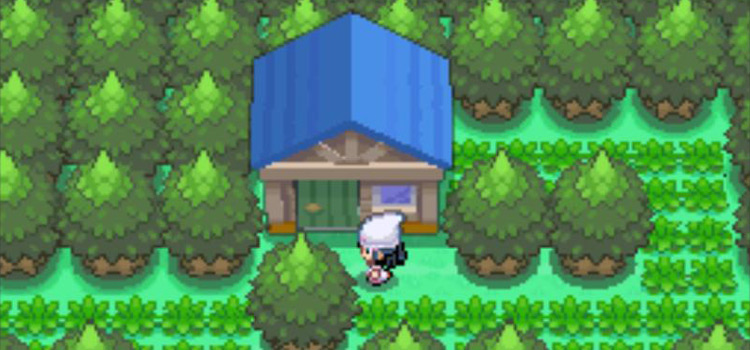 The house on Route 221 to go to (Pokémon Platinum)