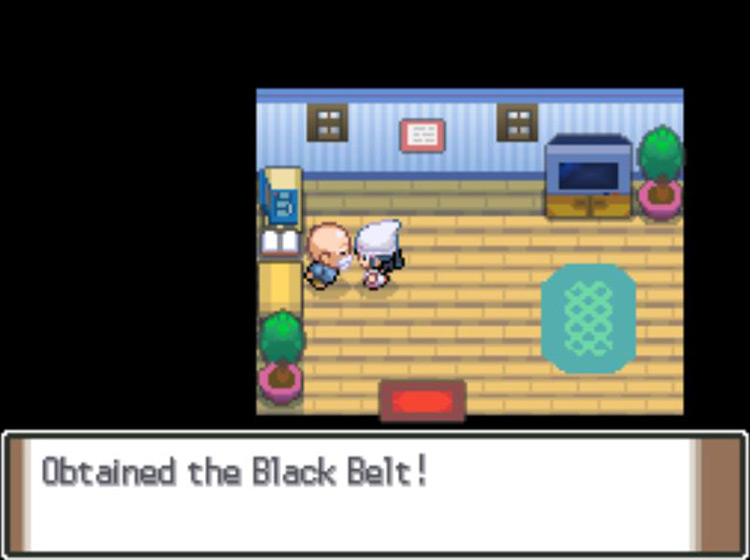 Being awarded a Black Belt / Pokémon Platinum