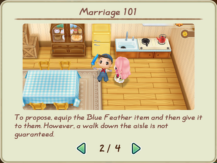 Instructions on proposing with the Blue Feather / SoS: FoMT