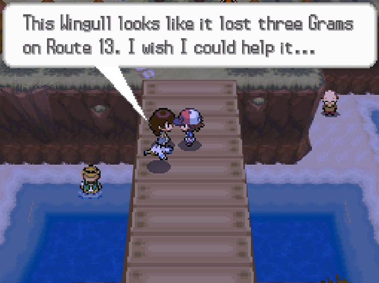 The NPC will tell you about the three lost Grams. / Pokemon BW