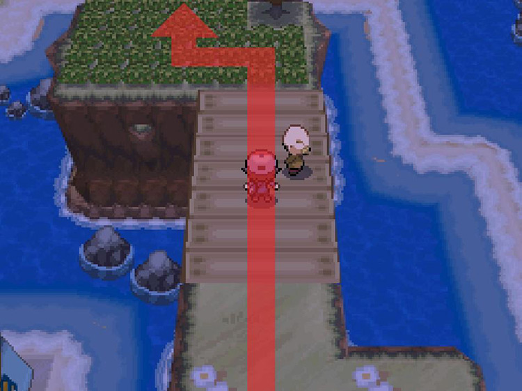 Retrace your steps and head north back across the bridge. / Pokemon BW