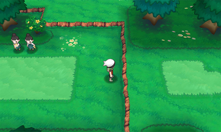 Reaching a dead-end on Route 123 when coming from Route 118. / Pokémon Omega Ruby and Alpha Sapphire