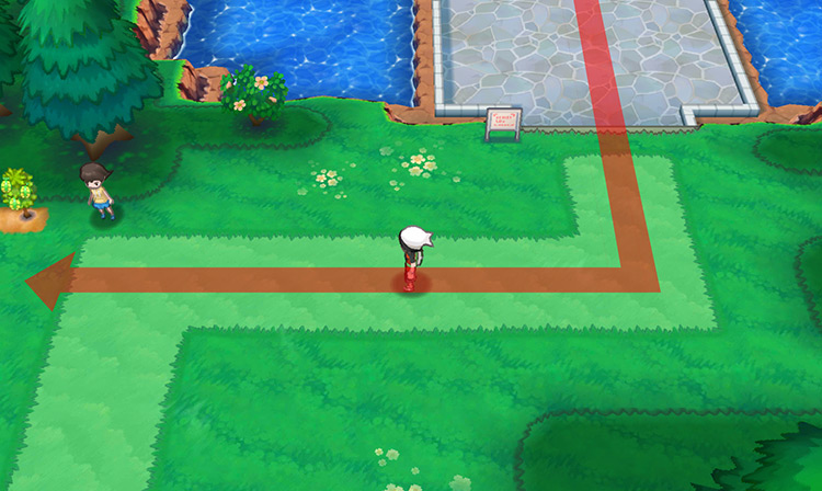 Entering Route 123 from the northeast. / Pokémon Omega Ruby and Alpha Sapphire