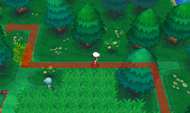 The path blocked by a second cuttable plant. / Pokémon Omega Ruby and Alpha Sapphire