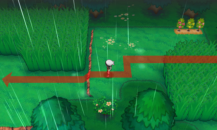 One of the ledges on Route 123. / Pokémon Omega Ruby and Alpha Sapphire