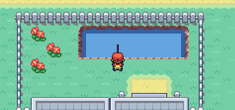 Fishing in the pond behind Fishing Gurus house in Fuchsia City (FireRed)