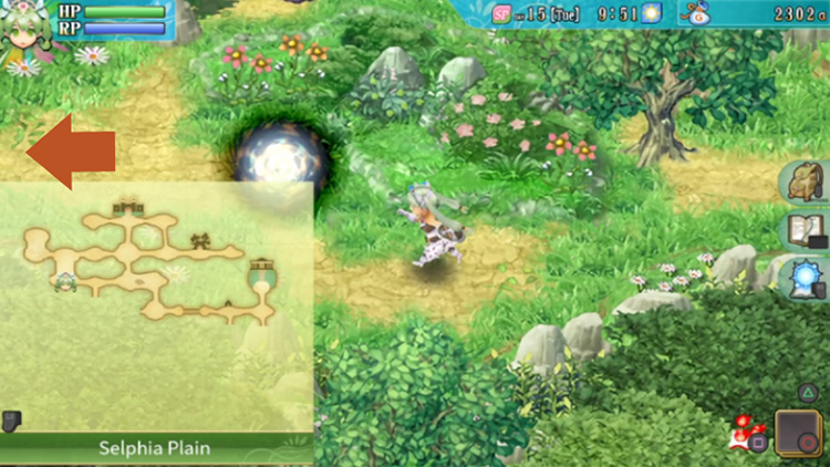 A large area split vertically into two sections in Selphia Plain / Rune Factory 4