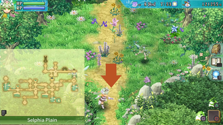 A vertical stretch with flowers in Selphia Plain / Rune Factory 4