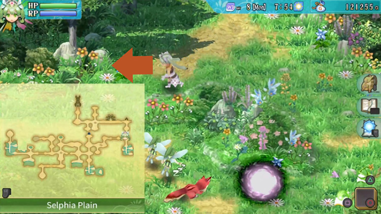 A small area with blooming flowers in Selphia Plain / Rune Factory 4
