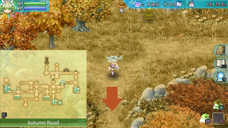 The first area of Autumn Road / Rune Factory 4