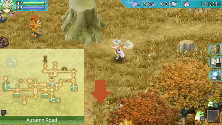 A small area with a large tree stump in the center in Autumn Road / Rune Factory 4