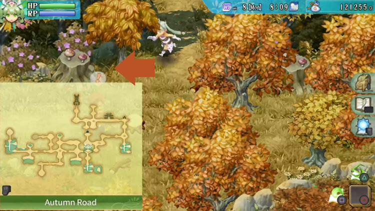A small section of Autumn Road / Rune Factory 4