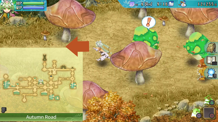A long stretch with giant mushrooms along Autumn Road / Rune Factory 4